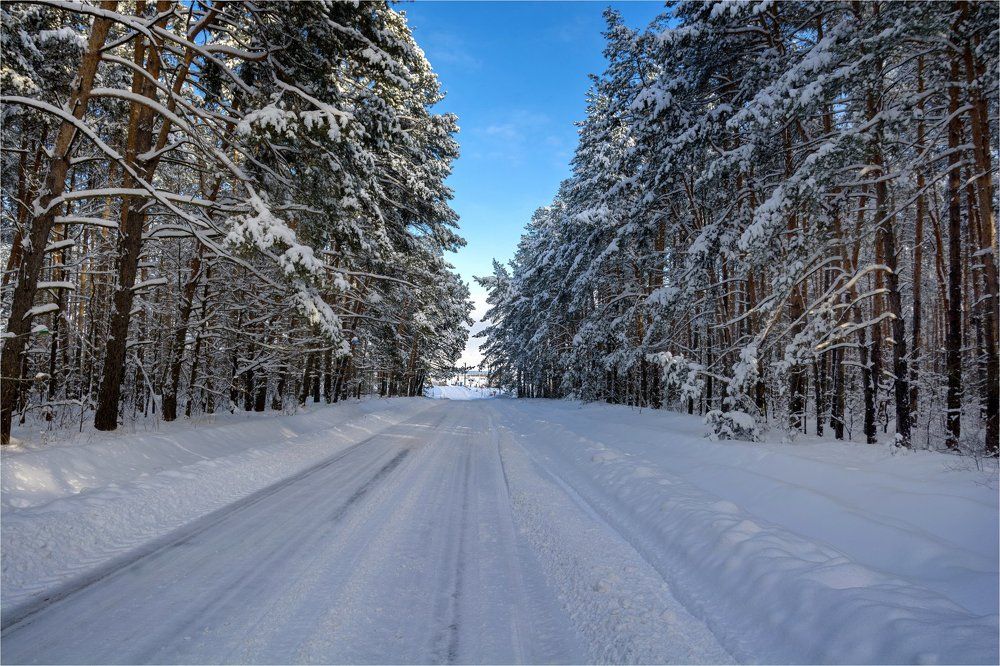 Зимняя дорога