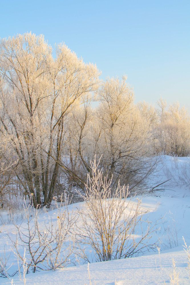 Морозное утро