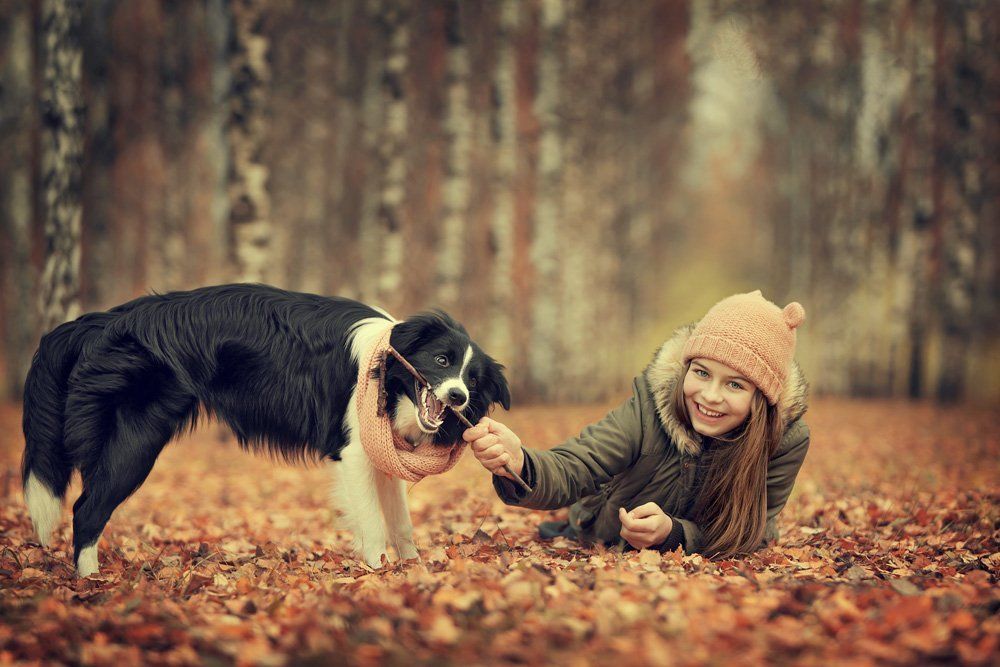 Photograph by Ирина Амосова