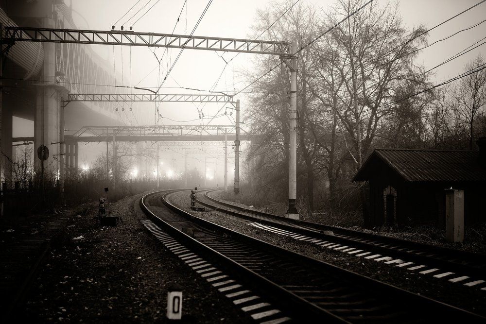 Photograph by Алексей Размашкин