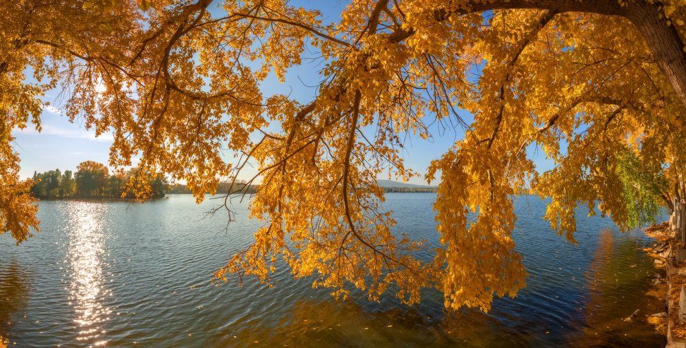 Янтарный этюд