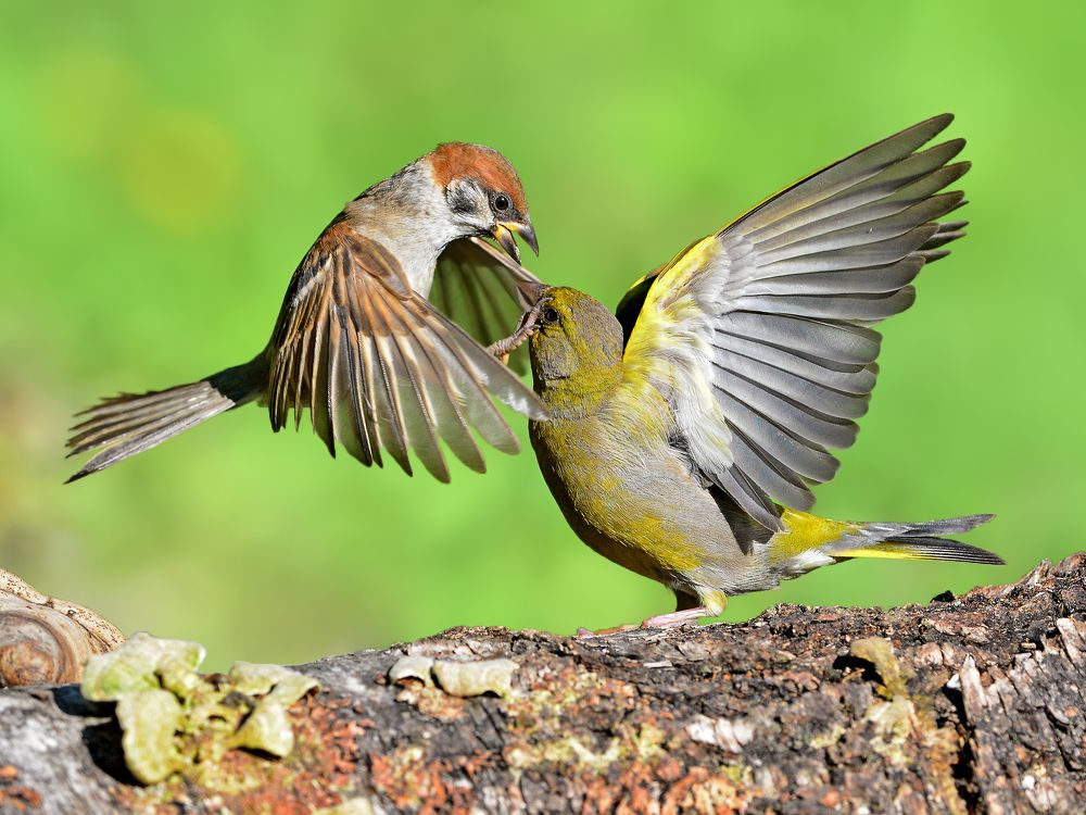 На приёме у окулиста