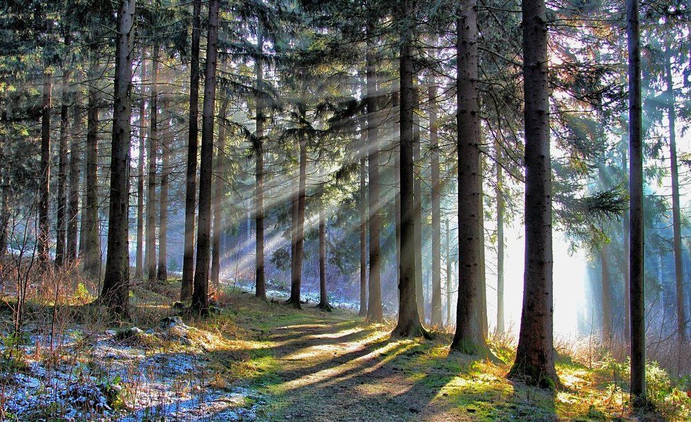 Здравствуй солнце!