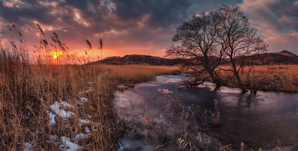 Прелюдия весны