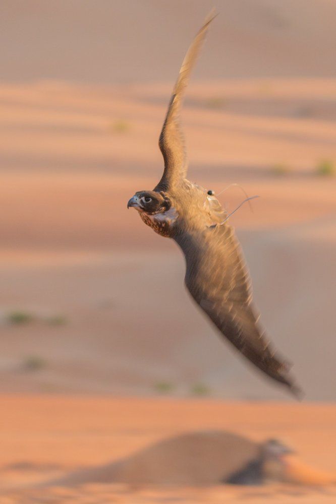 Крутой вираж.