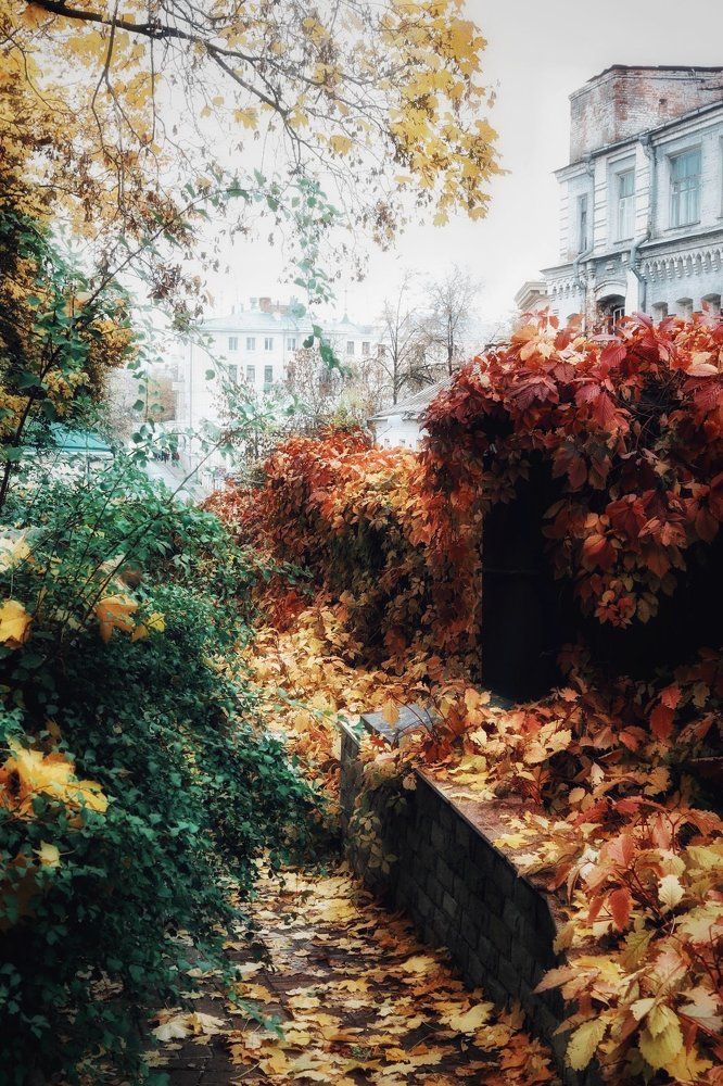 Photograph by Екатерина Моисеенко