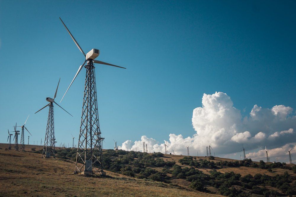 Photograph by Никита