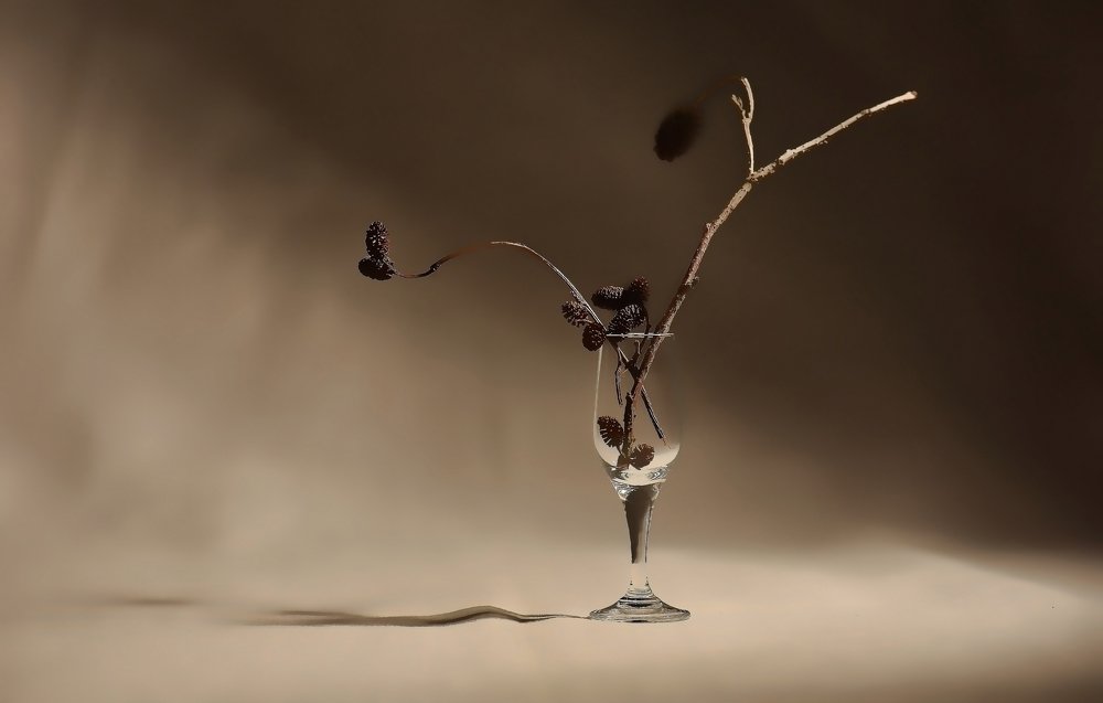 Маленькие шишки.