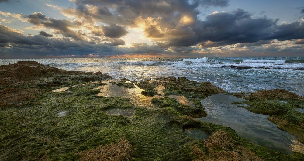 -дикий берег-