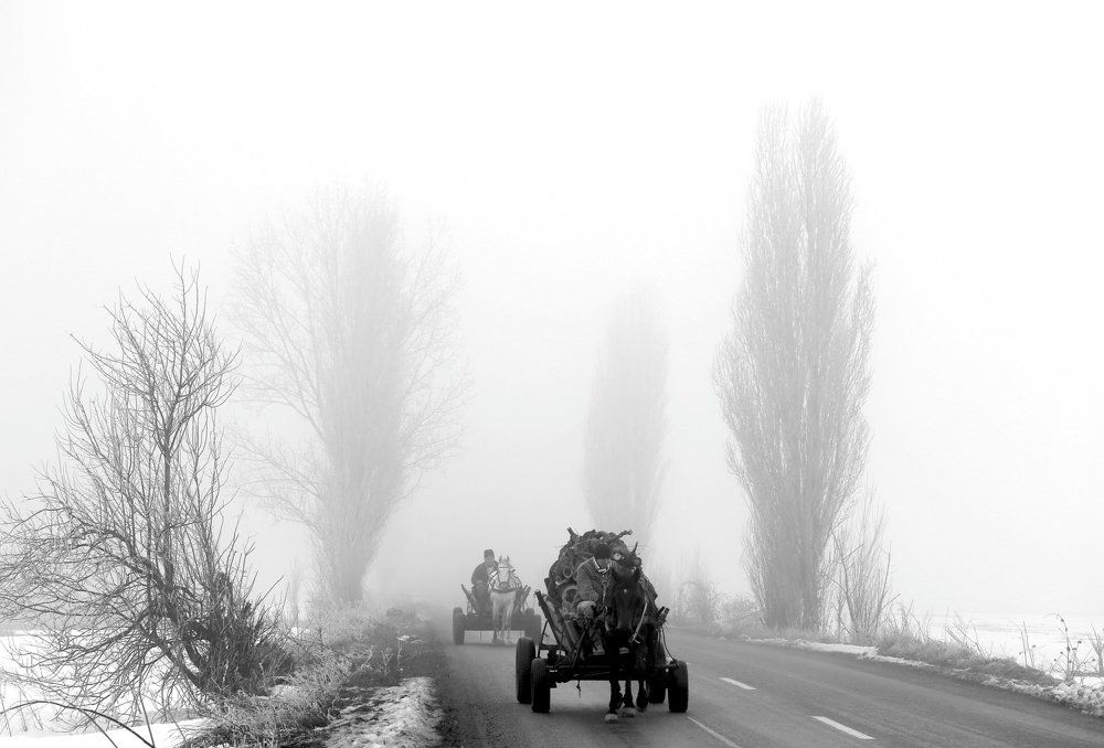 утро в Руминии