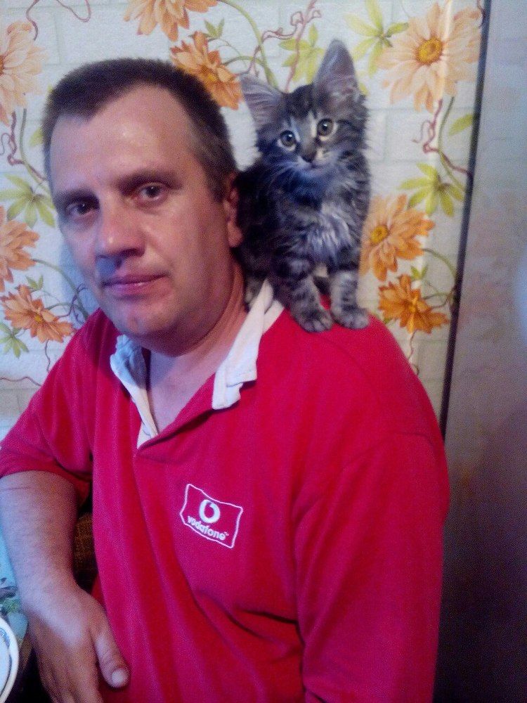 Photograph by limboi serhii