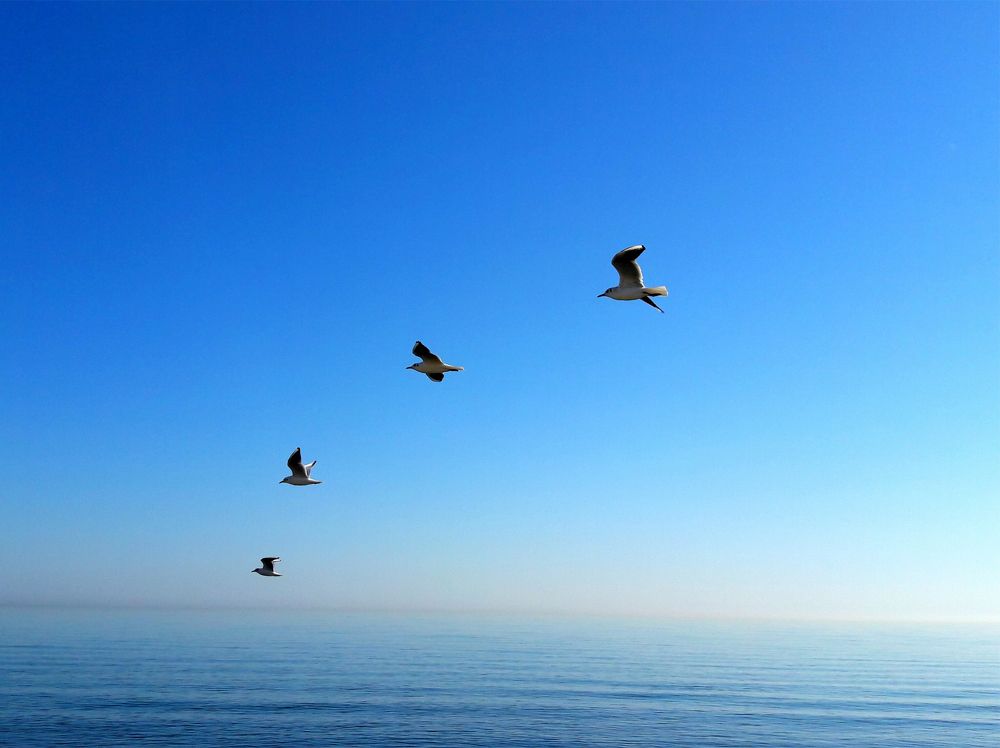 Caspiansea,ramsar,mazandaran,iran