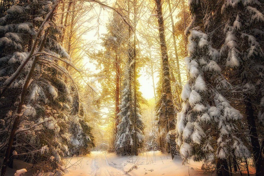 Волшебный свет.