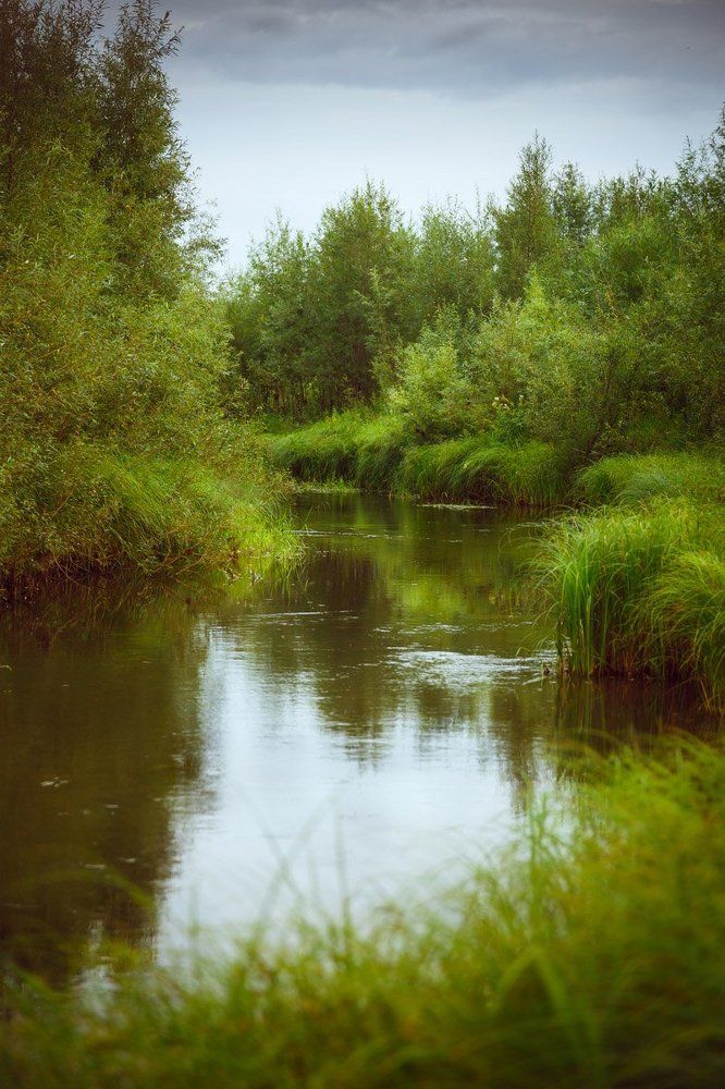 речка "Терехтюлька"