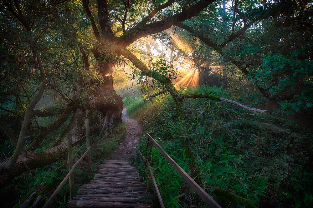 Рассвет в Дудутках