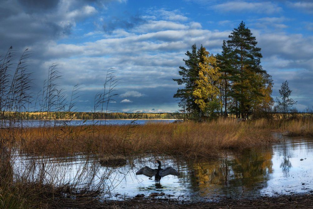 В осеннем Монрепо