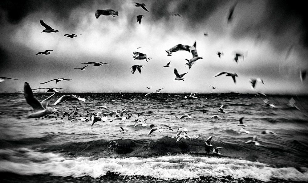 В суматохе дней....