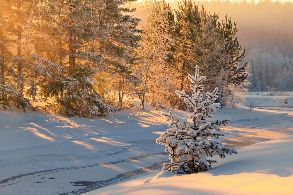 теплое вечернее солнышко зимы...