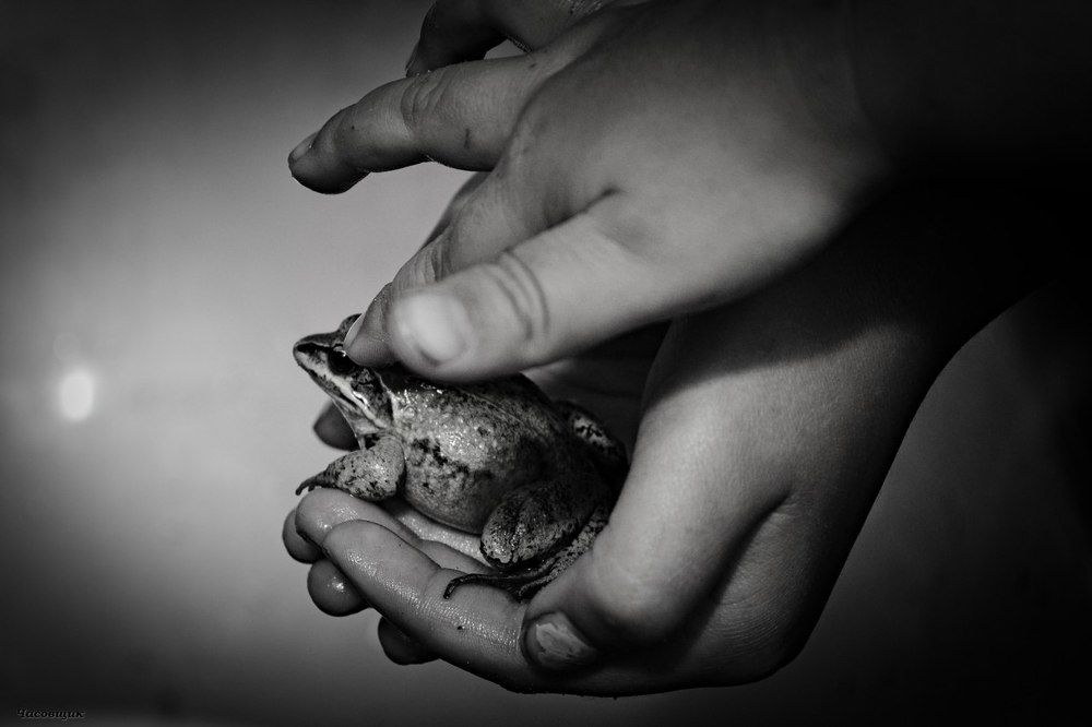 черно-белая