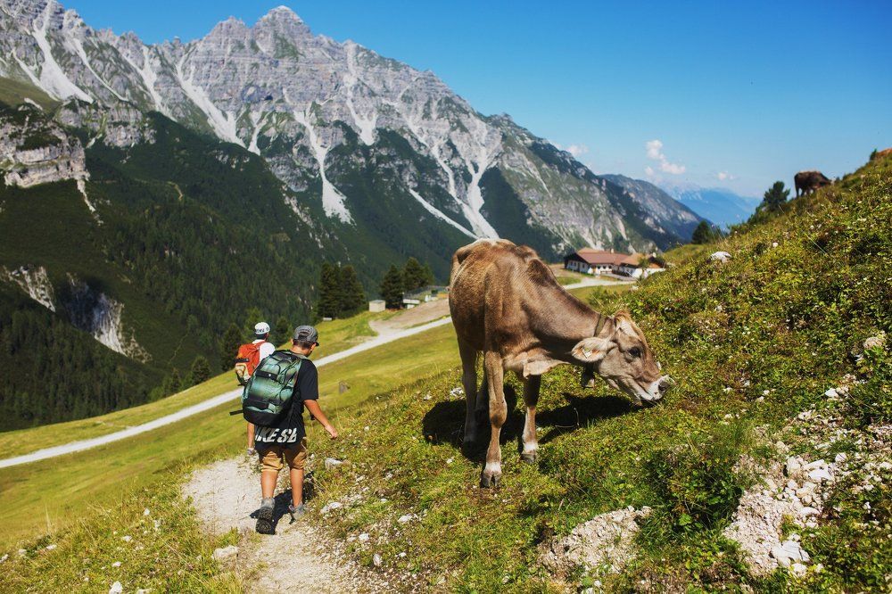 Альпийский пейзаж