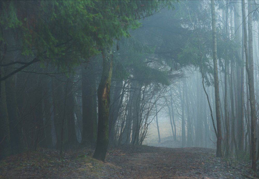 Призрачный тоннель