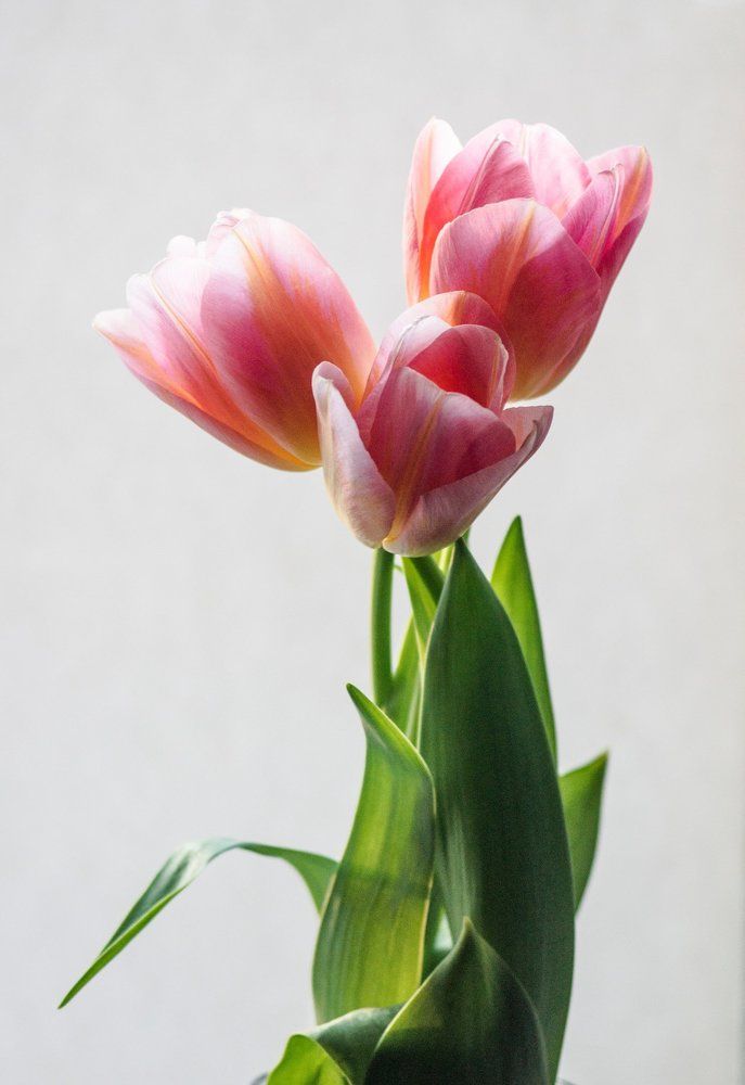 Photograph by Бадаев Антон