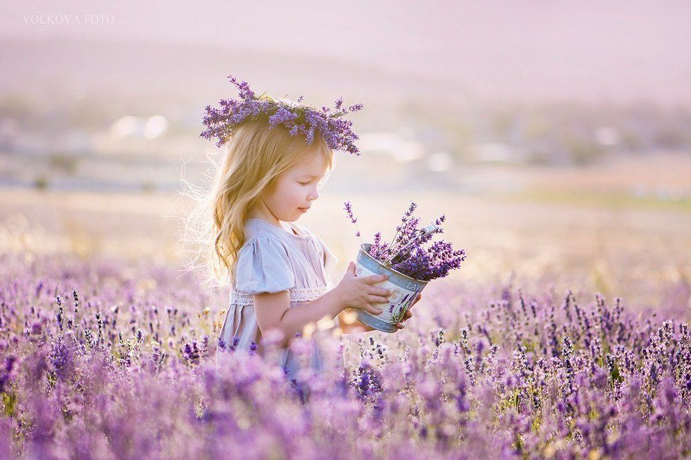 Сиреневый туман....