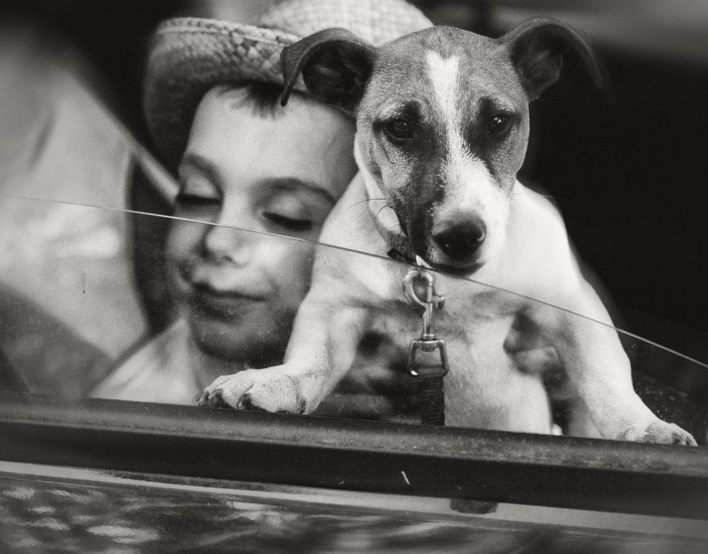 Photograph by Громова-Кальминская Елена