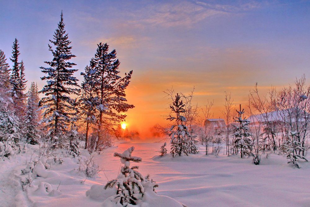 Морозные зарисовки зимы