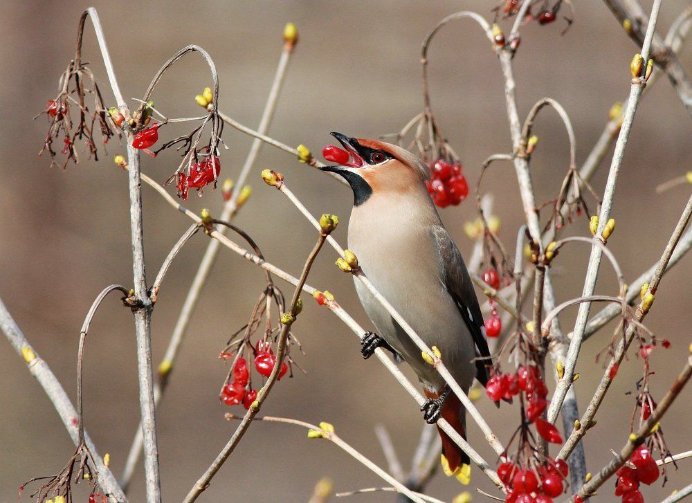 Photograph by Евгений Софронов