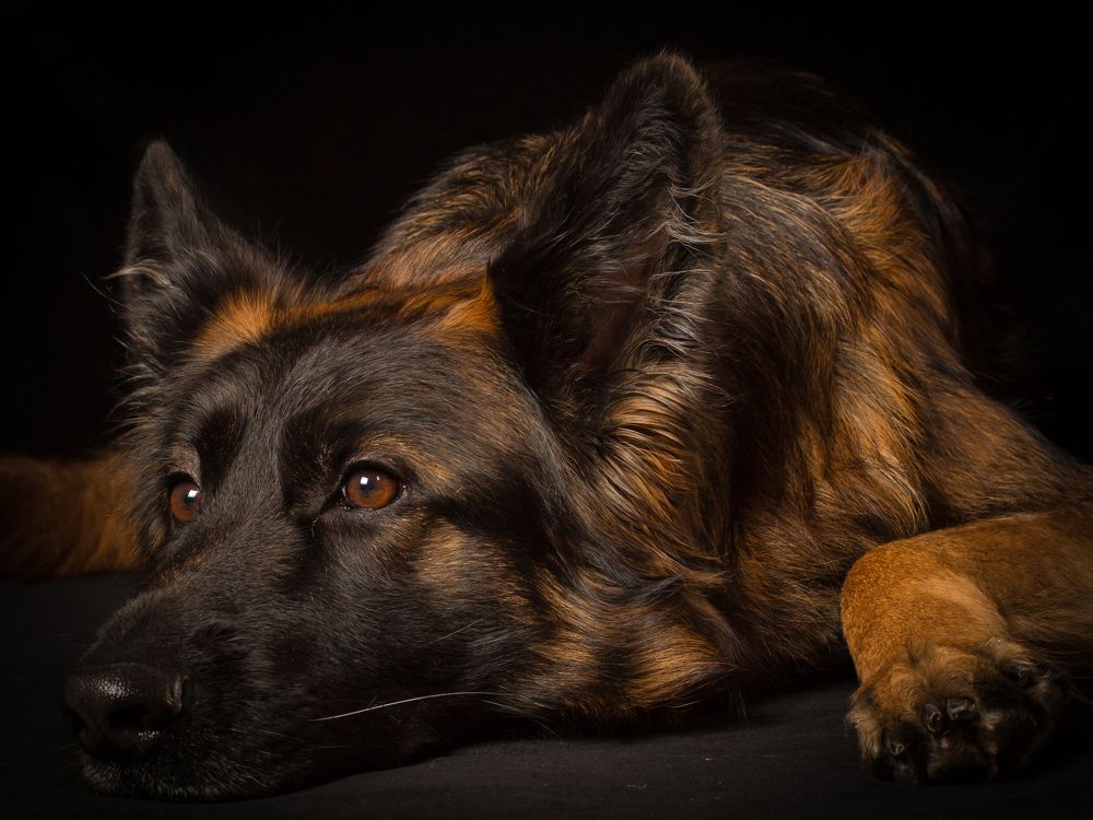 Загрустил,,,