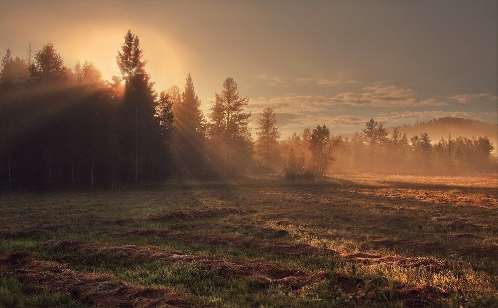 Струящийся рассвет