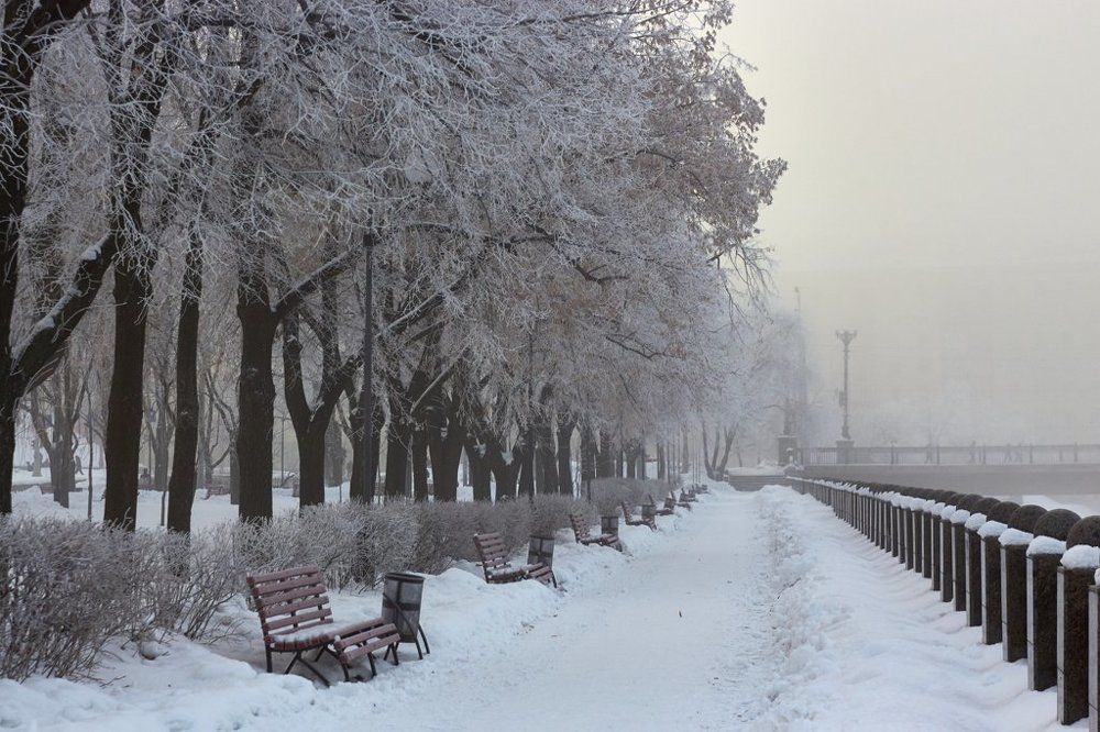 Утро туманное