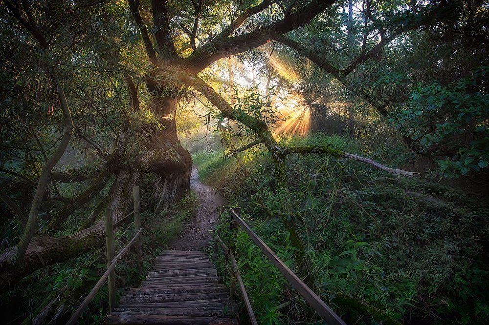 Рассвет в Дудутках