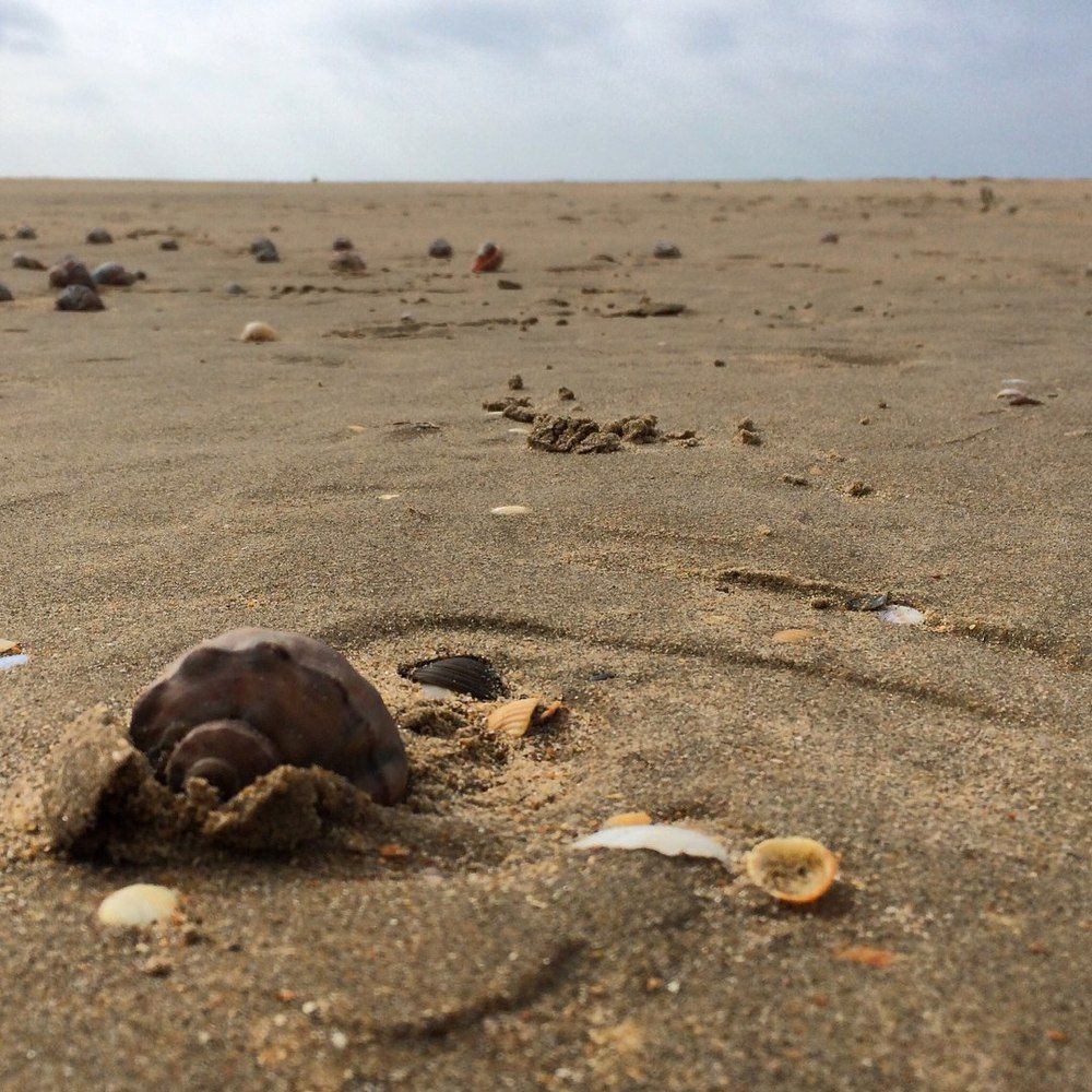 Photograph by Полина Синельникова