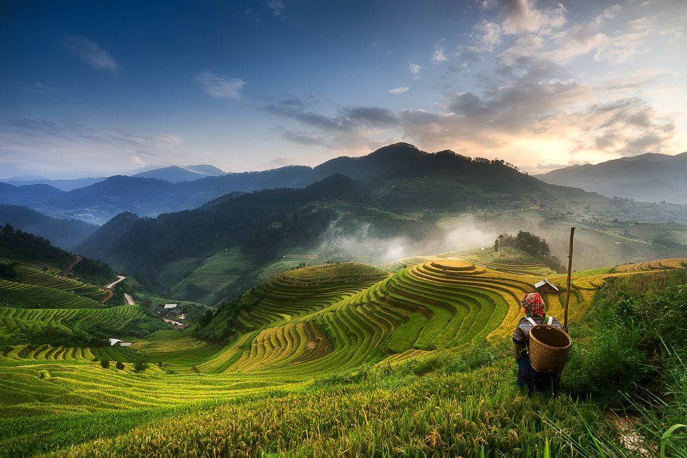 Sunset at Mu Cang Chai terraced rice fields