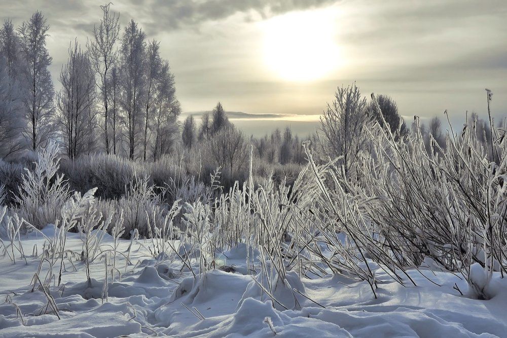 Зимние зарисовки