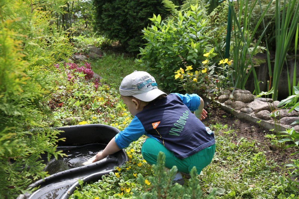 полдень в саду