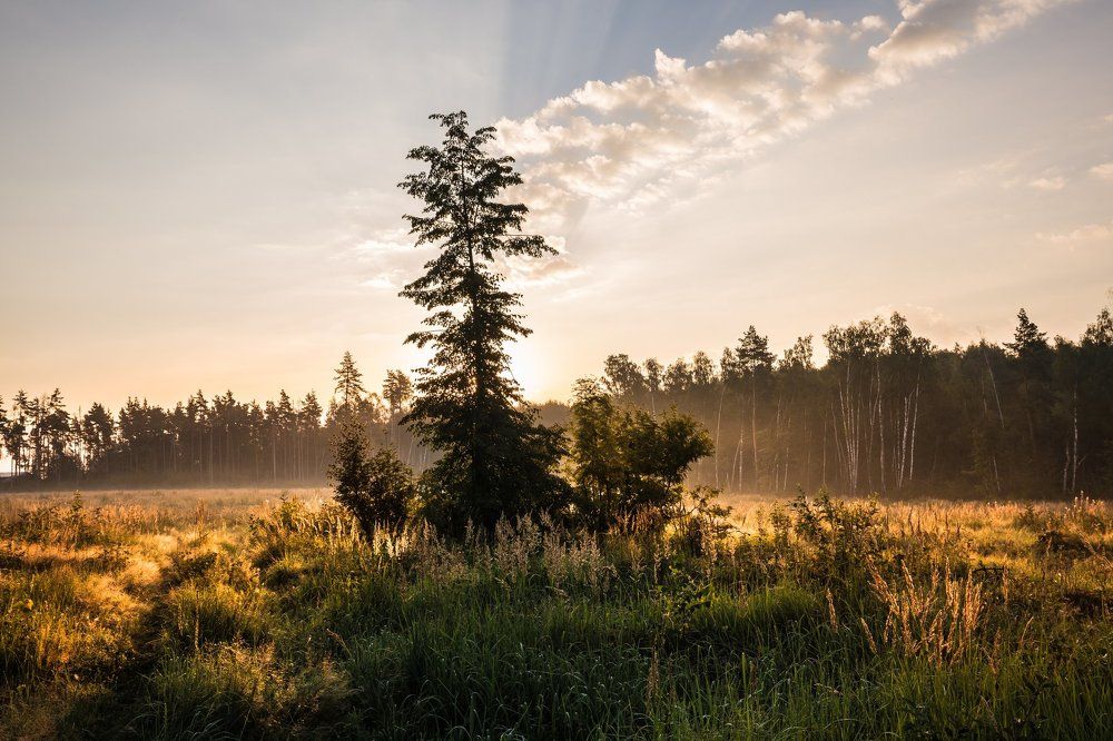 На рассвете