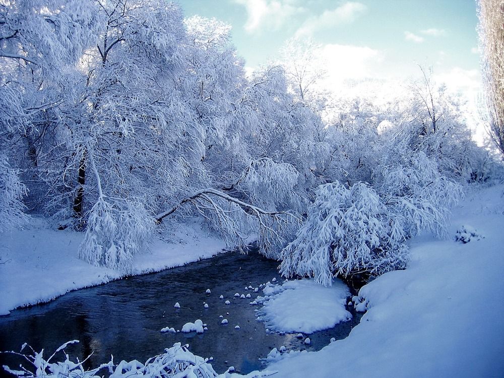 Photograph by Светлана