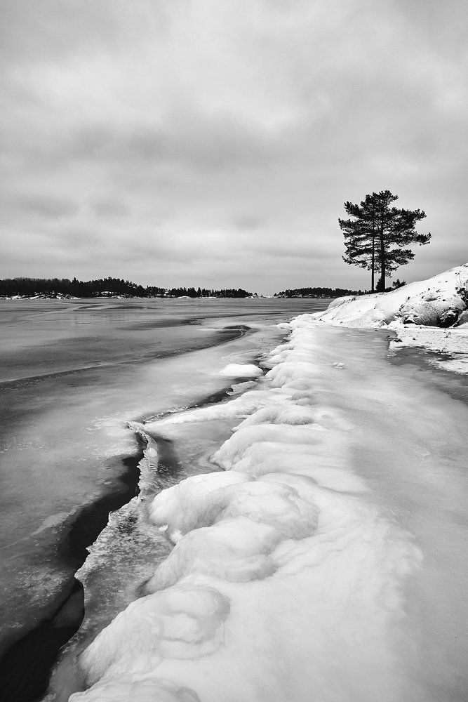 Morning in the Ladoga