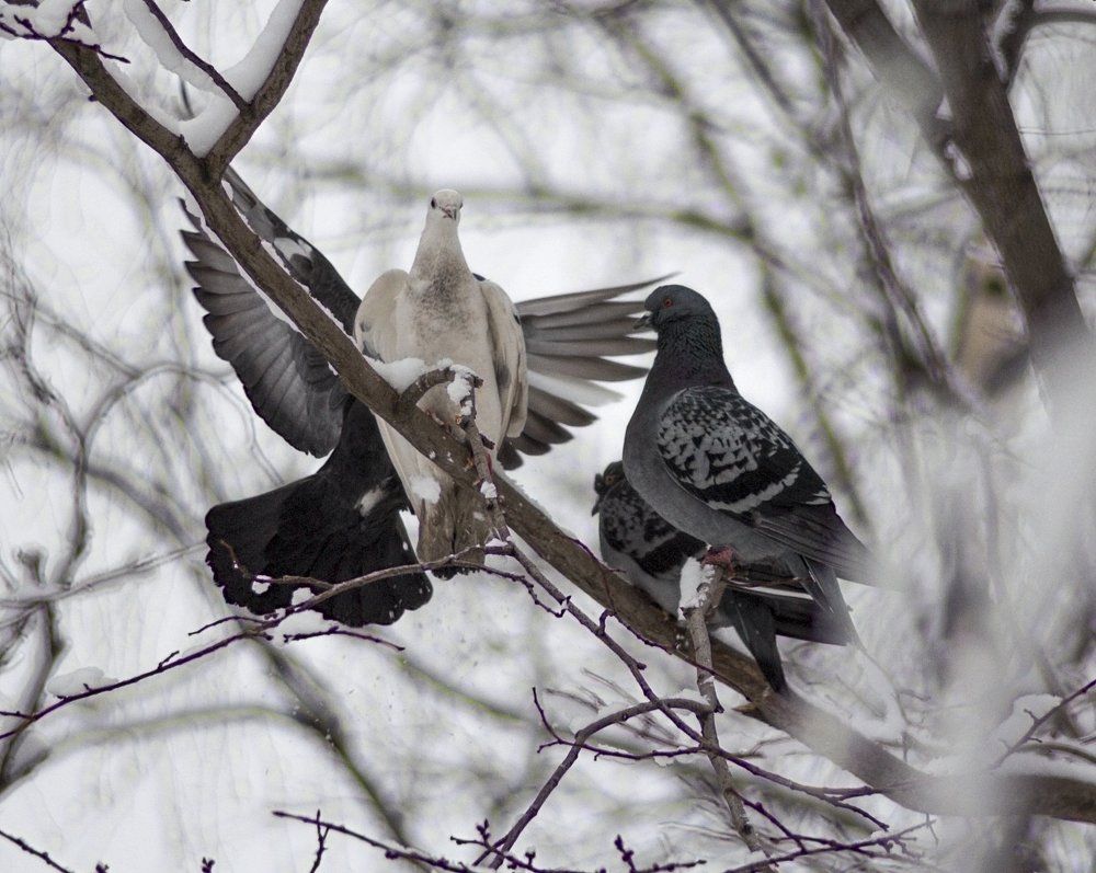 Photograph by Сергей Оробинский