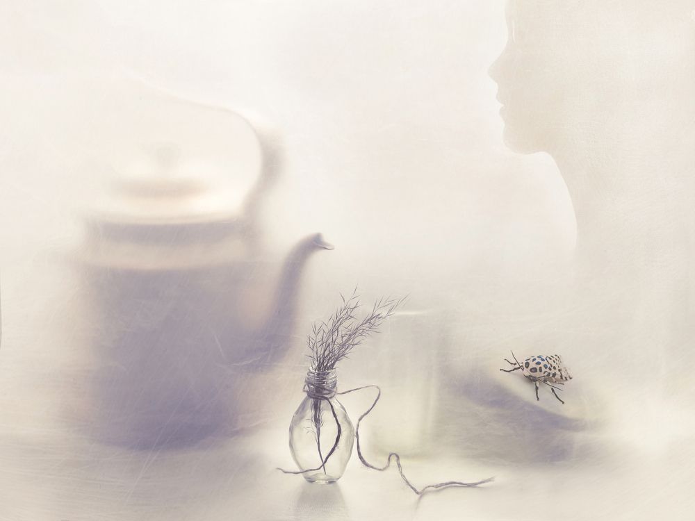 Фотография автора Елена Лысенко