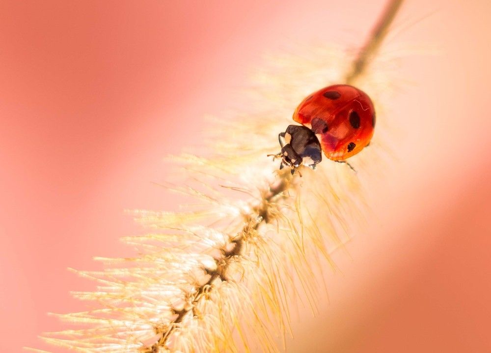 Photograph by Анастасия