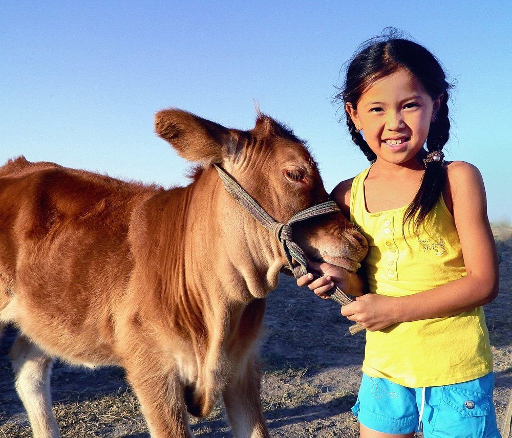 Укрощение строптивого