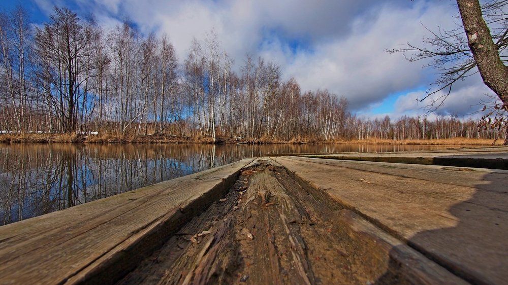 Фотография автора Александр Петаев