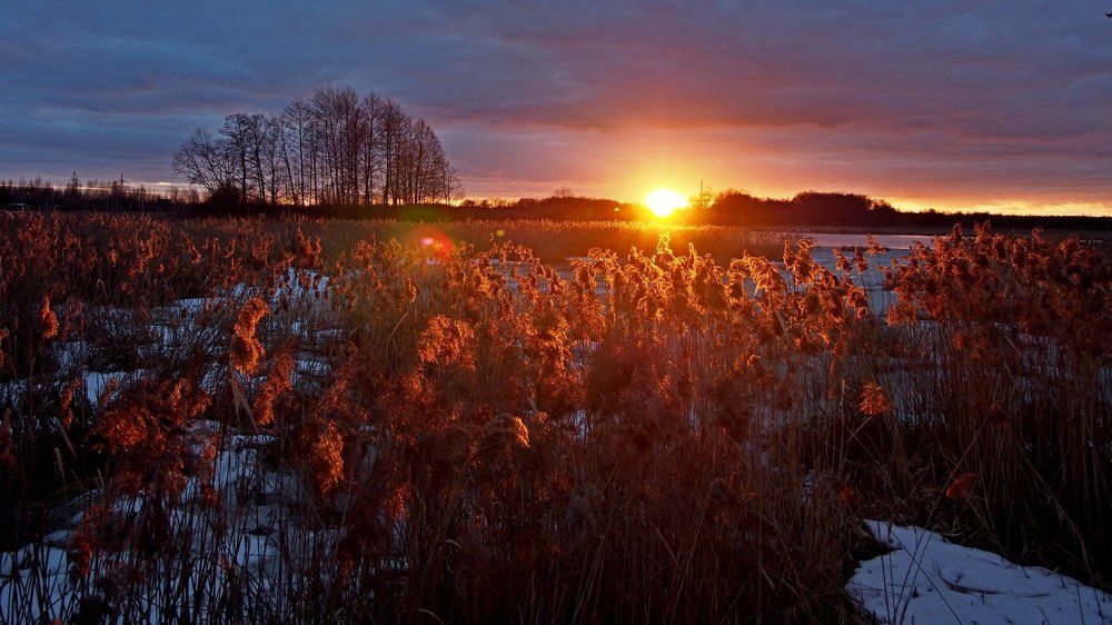 Photograph by Мирон Петаев