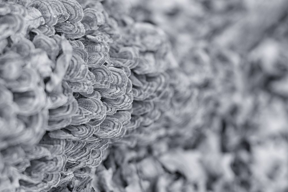 просто о сложном