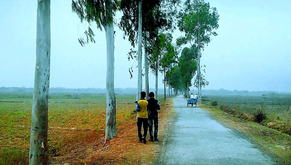 Photograph by Md Abu Sayeed Mondal