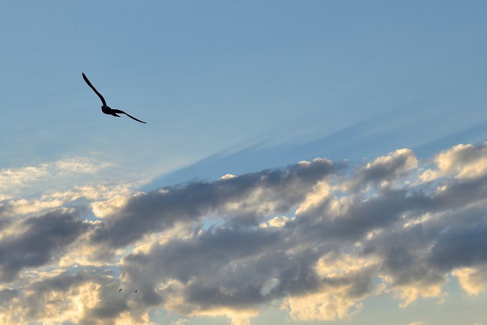 Photograph by Владимир Малевич